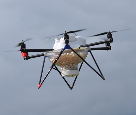 Samen Glättli Co, Wallisellen